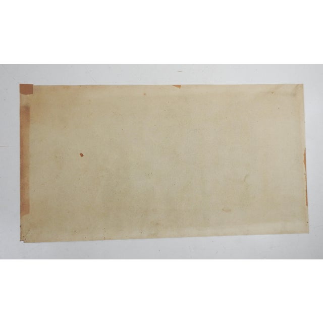 English Antique Still Life Plums Peaches Watercolor Painting For Sale - Image 3 of 4