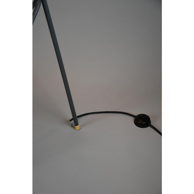 1950s Mid-Century Tripod NX 38 Floor Lamp with Red Cone and Grey Saucer Shade by Louis Kalff for Philips, Netherlands, 1950s For Sale - Image 5 of 14