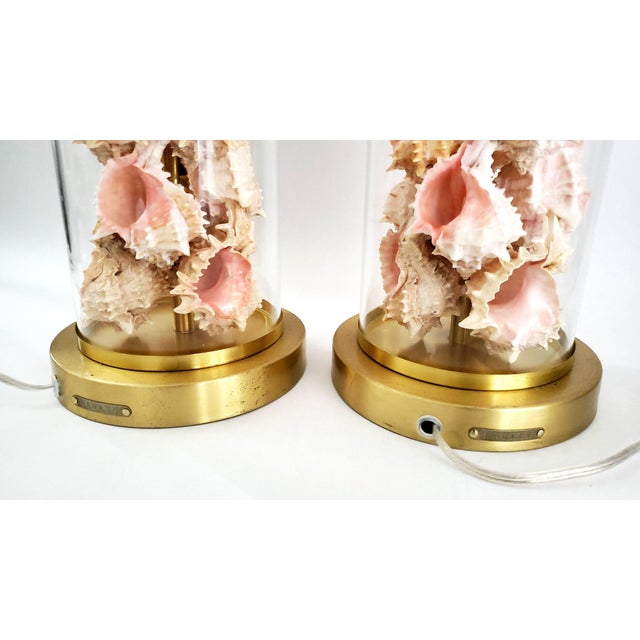 Lamps by Ralph Lauren With Pink Seashells Shell Added - A Pair For Sale - Image 15 of 17