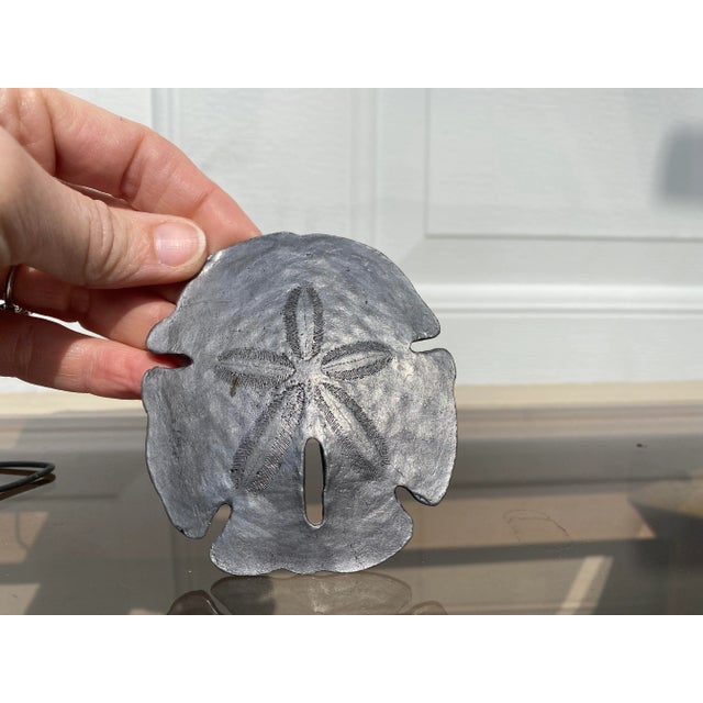 Late 20th Century Pewter Sand Dollar on Stand For Sale In Milwaukee - Image 6 of 7