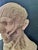 Stone After Houdon, Anatomical Bust, Carrara Marble For Sale - Image 7 of 12