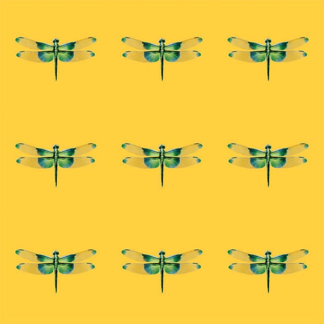 DWM | MALOOS wallpaper​ offers two types of custom design: Stock Wallpaper allows you to select the color, orientation,...