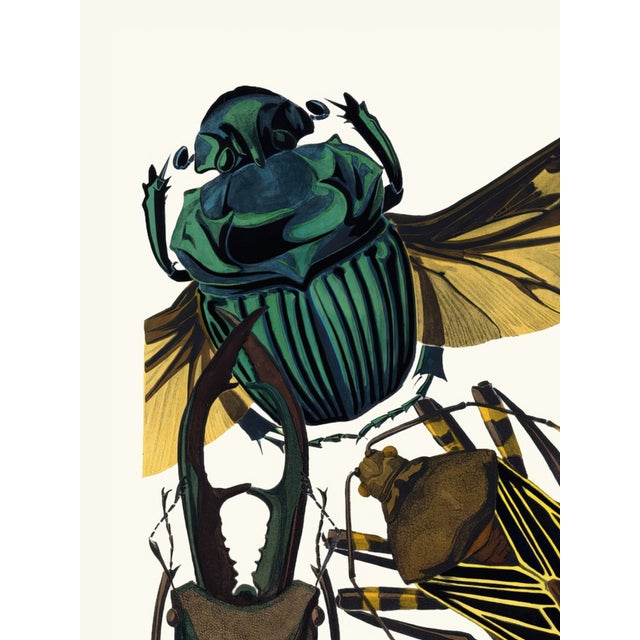 Vintage insect art print reproduction by Emile-Allain Séguy, featuring Art Deco–era beetle illustrations originally...