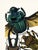 Vintage insect art print reproduction by Emile-Allain Séguy, featuring Art Deco–era beetle illustrations originally...
