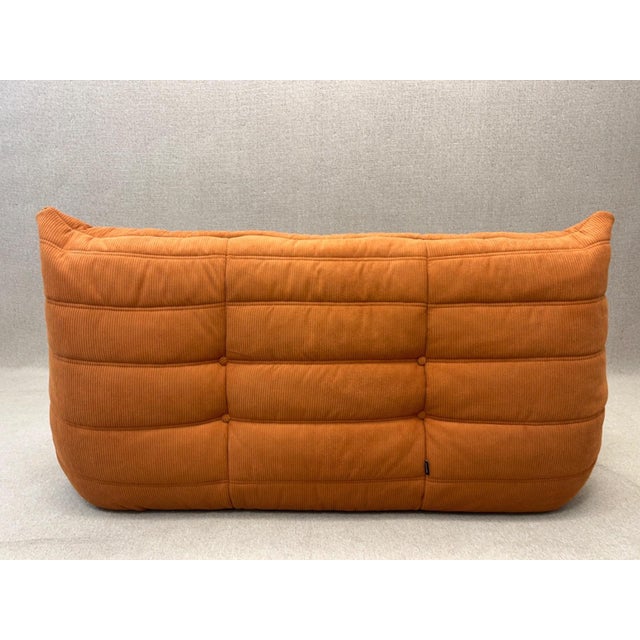 Togo Two-Seater Sofa by Michel Ducaroy for Ligne Roset, 2007 For Sale - Image 10 of 18