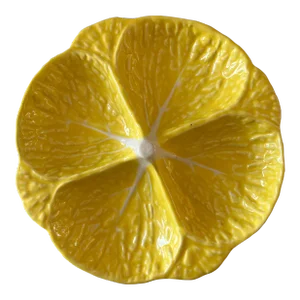 Vintage Cabbage Ware Divided Plate by Secla