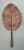 Metal Vintage Copper Botanical Wall Art For Sale - Image 7 of 12