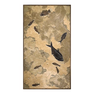 Fossil Fish Mural 4062gm For Sale
