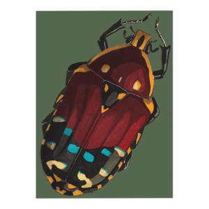 Bugs by Seguy #19