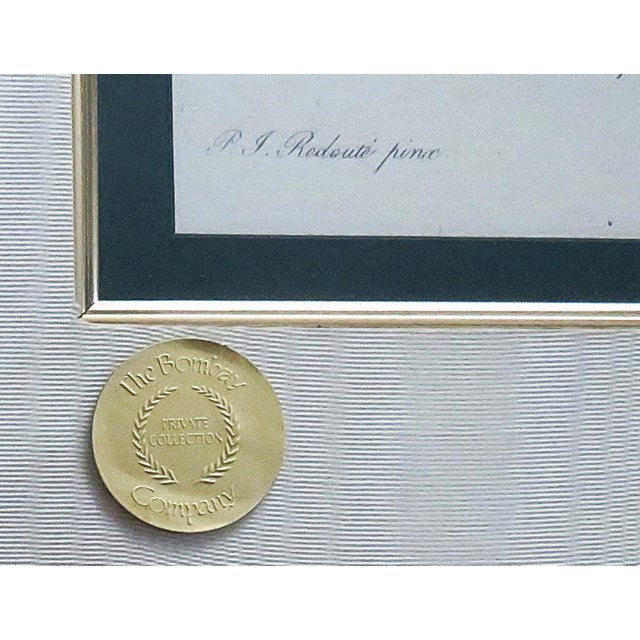 Large French Pierre J. Redoute Framed Lithograph Roses Still Life Botanical Print For Sale - Image 4 of 5