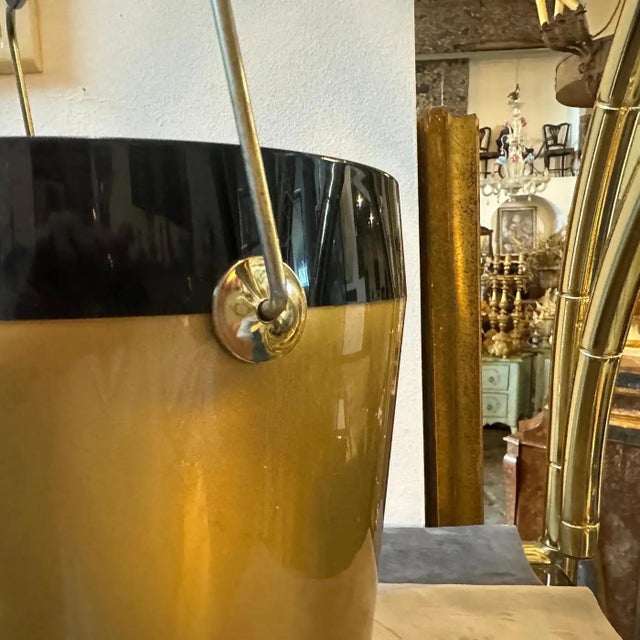 1960s 1960s Mid-Century Modern Brass and Resin Ice Bucket For Sale - Image 5 of 9