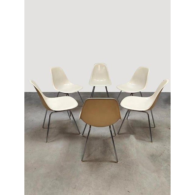 Vintage Fiberglass DSX Dining Chairs by Charles & Ray Eames for Herman Miller, 1960s, Set of 6 For Sale - Image 3 of 9