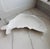 Capture the timeless appeal of coastal style with this striking vintage white majolica fish serving platter. Crafted in...