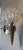 Double Wall Sconce in Molded Glass and Teak, 1960s For Sale - Image 4 of 7