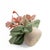 Vintage Handmade Fabric Flower Bouquet Arrangement For Sale - Image 13 of 13