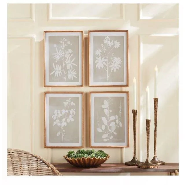 The Foliage Study - Set of 4 With a soft taupe background and silhouetted foliage forms, this simple composition of...