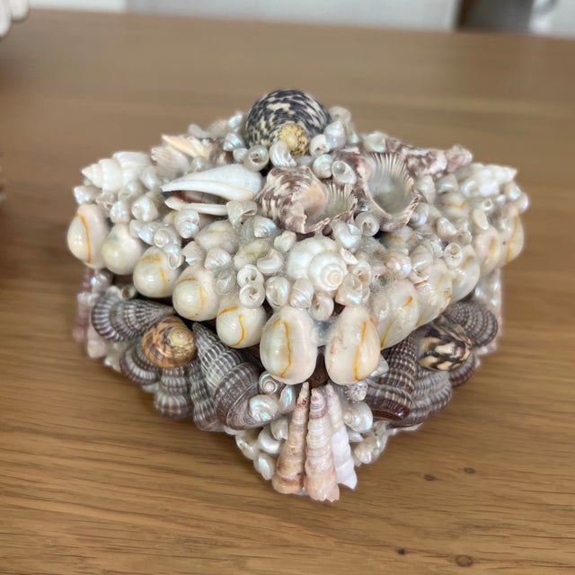 Coastal Vintage Mid Century Shell Encrusted Box For Sale - Image 3 of 7