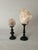 Vintage Real Seashells on Black Wooden Stands, 1960s, Set of 2 For Sale - Image 3 of 3
