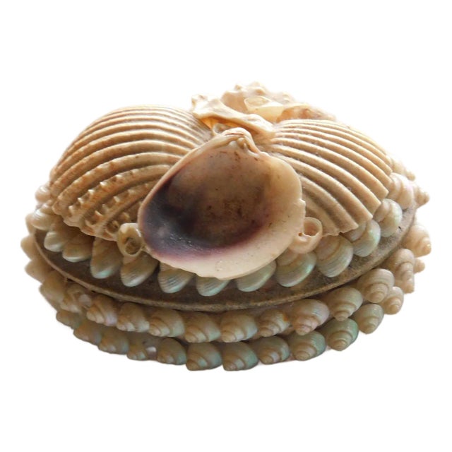 Antique Victorian Shell Wwi, Navy Sailor Valentine Gift, Oval Boudoir Jewelry Ring Box For Sale