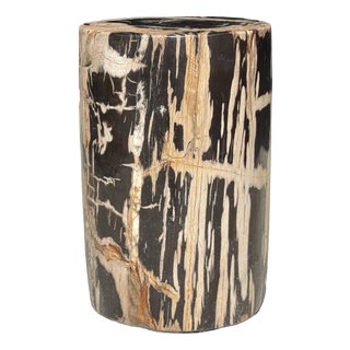 Small Side Table in Petrified Wood, Black Heartwood, Bark with Black and Beige Streaks, 1980s For Sale