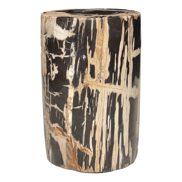 Small Side Table in Petrified Wood, Black Heartwood, Bark with Black and Beige Streaks, 1980s For Sale