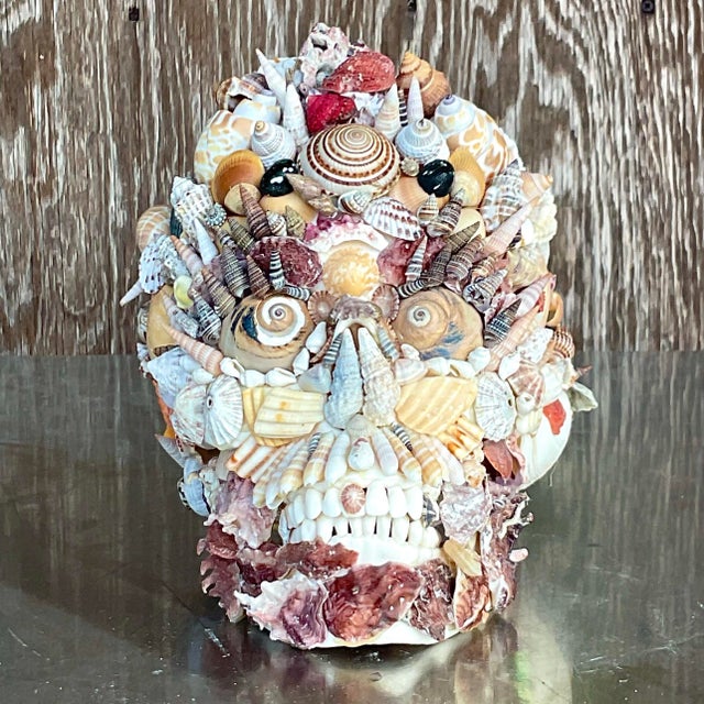 Almond Vintage Coastal Shell Encrusted Skull For Sale - Image 8 of 8