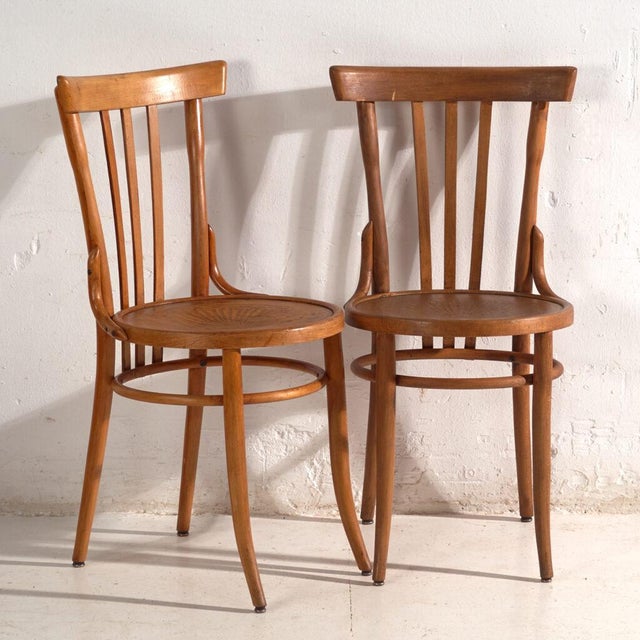 Chairs in Bentwood, Central Europe, 1930, Set of 2 For Sale - Image 13 of 13