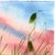 2020s Poppies 2 - Original Botanical Floral Watercolor Painting on Paper For Sale - Image 5 of 6