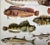 Antique Fish Print From England Featuring Catfish, Tompot, Shanny and Varieties of Blenny & Atherine Fish - Circa 1902 For Sale In Dallas - Image 6 of 12