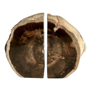 Petrified Wood Bookends. Pair For Sale