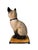 A beautifully rendered sculpture of a mischievous pampered Siamese Cat. Perched on a beautiful venetian pillow and adorned...