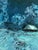 Oil Painting Winter Night Serdyuk Boris Petrovich For Sale - Image 6 of 11