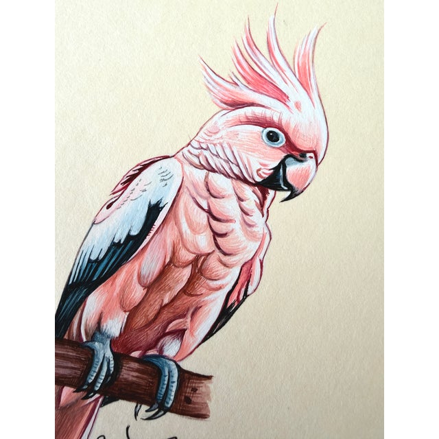 Original Hand-Painted Cockatoo Painting in an Antique Victorian Frame For Sale - Image 4 of 4