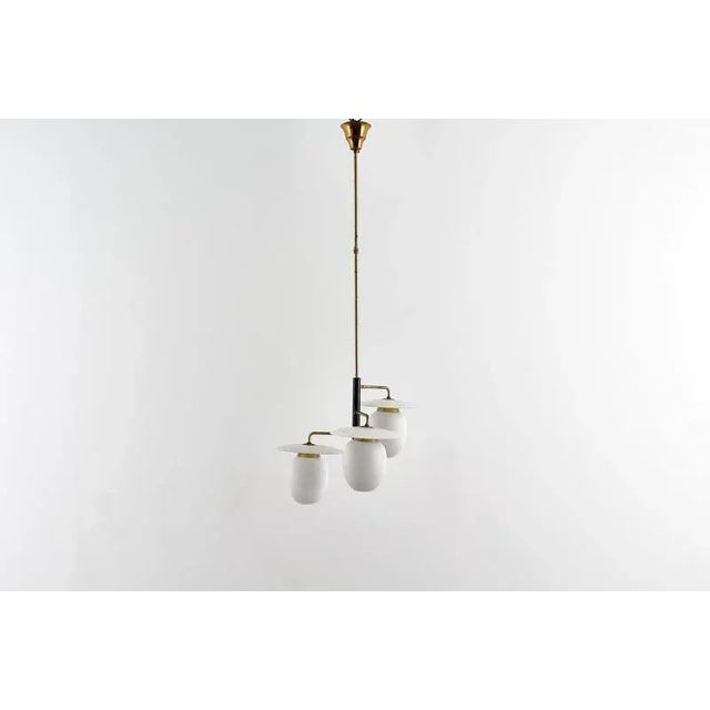 Mid-Century Modern Brass and Curved Glass Hanging Light, 1950s For Sale - Image 3 of 18