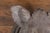 Gray English 1880s Terracotta Hog Head Mounted on New Custom Circular Iron Frame For Sale - Image 8 of 12