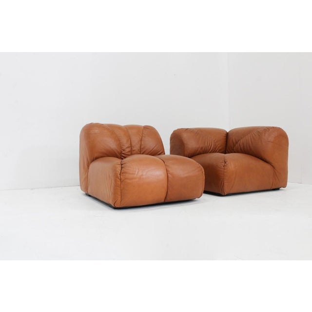 Animal Skin Vintage Modular Sofa in Cognac Leather, Italy, 1970s, Set of 4 For Sale - Image 7 of 9