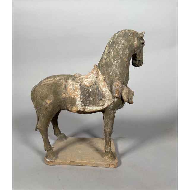 15th Century & Earlier Sculpture of a Mingqi warhorse, China, Tang Dynasty (618-907) For Sale - Image 5 of 11