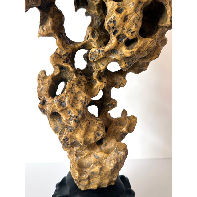 Chinese Yellow Scholar Taihu Stone on Wood Stand For Sale - Image 12 of 13