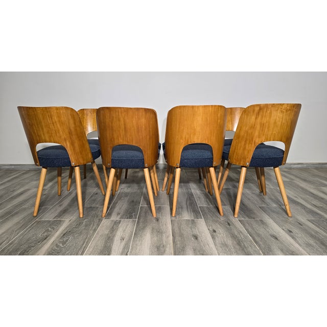 Dining Chairs by Oswald Haerdtl, 1950s, Set of 8 For Sale - Image 10 of 13