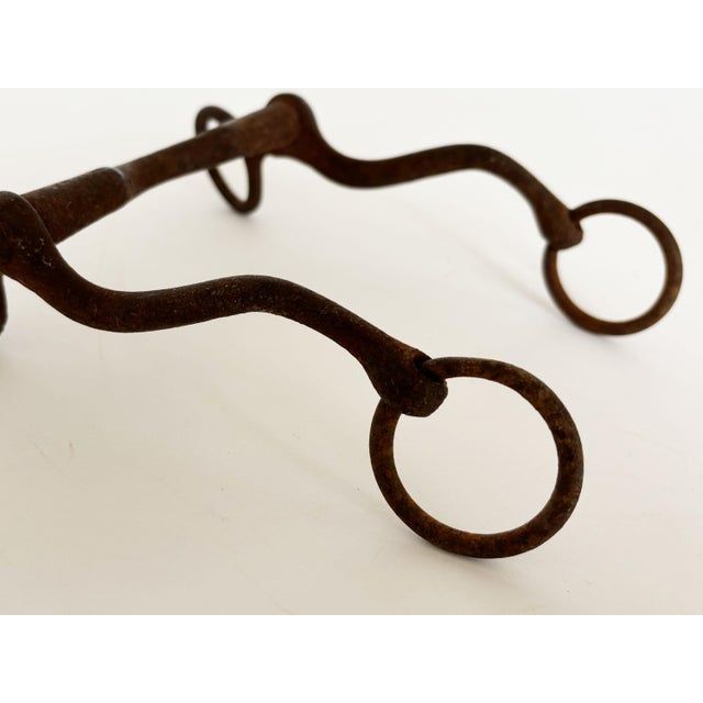1900s Antique Horse Curb Bits, Set of 3 For Sale In Minneapolis - Image 6 of 8