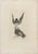 Soft-ground etching on heavy paper. Image dimension 28x18. Signed in brown ink at the bottom right. Collector's notes in...