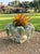 1980s 1980s Willy Guhl Sculptural Biomorphic "Handkerchief" Planter For Sale - Image 5 of 7