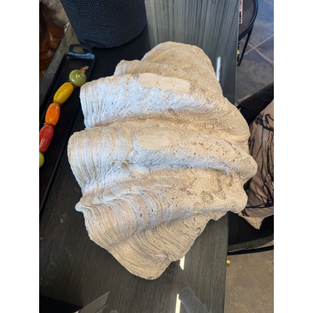 Coastal Lombok Clam Shell, Resin For Sale - Image 3 of 7