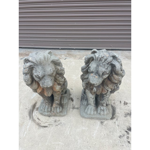 Late 18th Century Pair of 19th-Century Lion Sculptures - The Plantation Guardians: For Sale - Image 5 of 9
