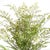 Realism Maidenhair Drop-In 30" For Sale - Image 3 of 7
