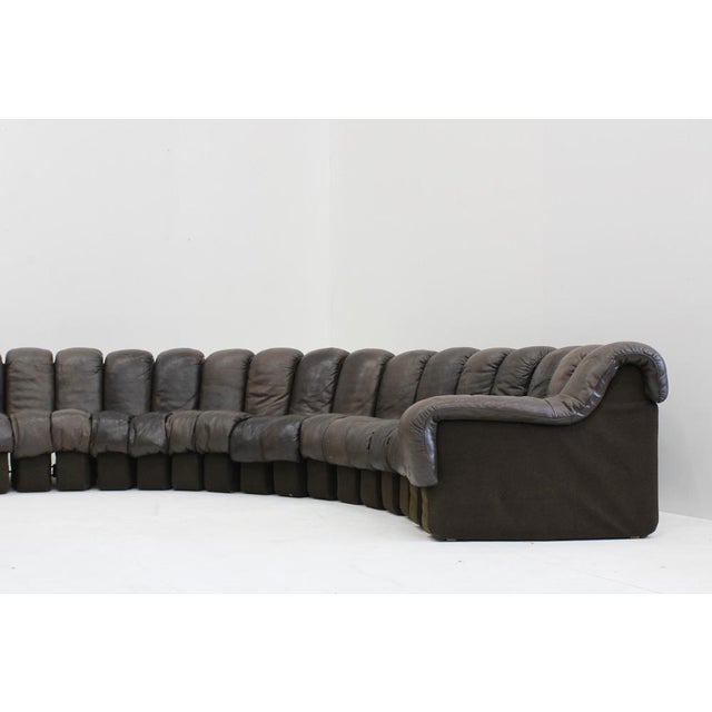 Vintage DS-600 Non Stop Snake Sofa from de Sede, 1970s, Set of 22 For Sale - Image 12 of 14