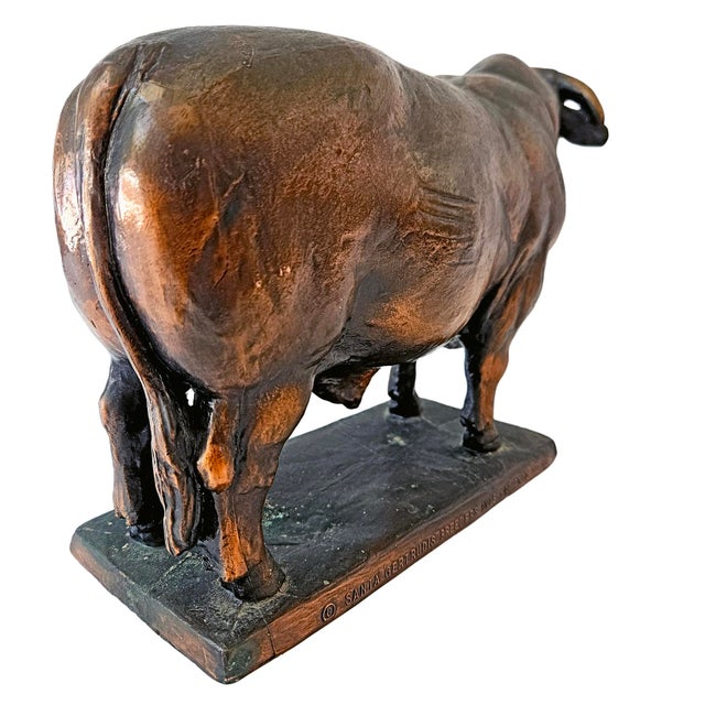 Metal 1969 Vintage Santa Gertrudis Breeders International Bronze Bull Trophy Statue For Sale - Image 7 of 13