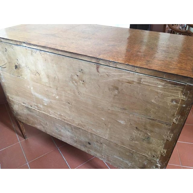 Late 18th Century Regency Elmwood Root Chest of Drawers, Italy, 1790 For Sale - Image 18 of 18