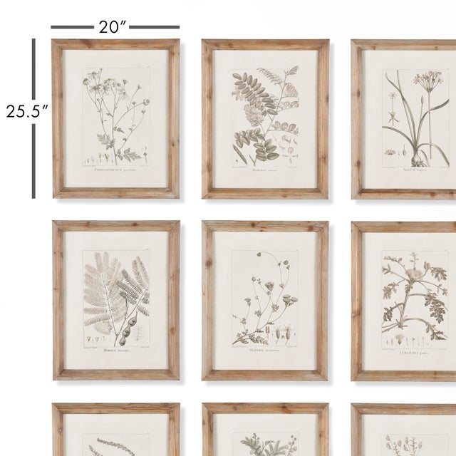 In a soft sepia tone, this set of nine botanicals is an elegant way to dress the wall. Finished off with simpleWhitewash...