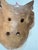 Brown Mid 20th Century Thai Hand-Carved Wood Stylized Boar Folk Art Wall Mask For Sale - Image 8 of 12